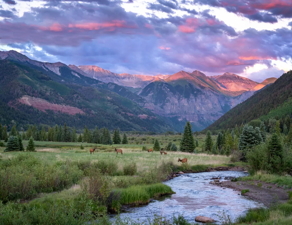 A tranquil natural setting featuring a meandering stream, verdant greenery, and dramatic mountains in the background. Wildlife can be spotted along the water, and the scene is suffused with soft, serene light and clouds above.